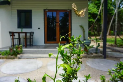Behind the Temple Island Eco-Home 15min walk to Hin Kong Beach – Fotos 10